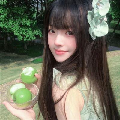 新教宗