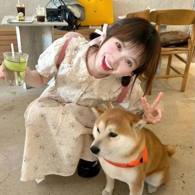 碧丽莎的情人
